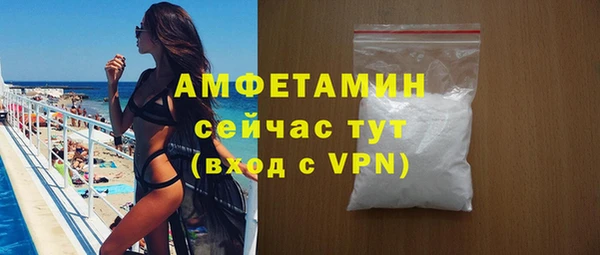ПСИЛОЦИБИНОВЫЕ ГРИБЫ Горняк