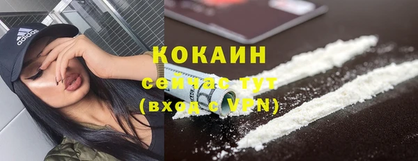 ПСИЛОЦИБИНОВЫЕ ГРИБЫ Горняк