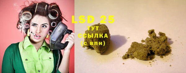 ПСИЛОЦИБИНОВЫЕ ГРИБЫ Горняк