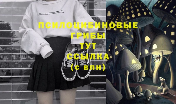 mdma Горнозаводск