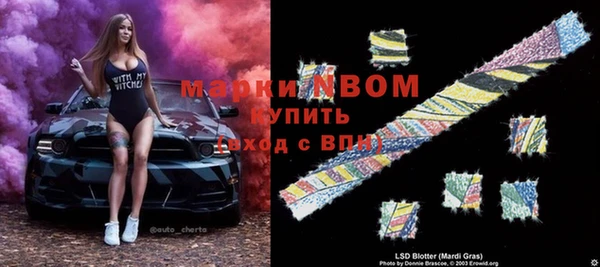 ПСИЛОЦИБИНОВЫЕ ГРИБЫ Горняк