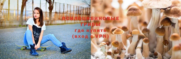 mdma Горнозаводск