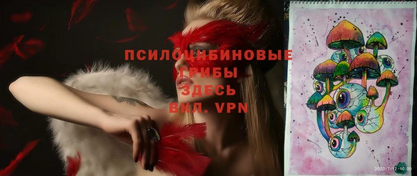 ПСИЛОЦИБИНОВЫЕ ГРИБЫ Горняк