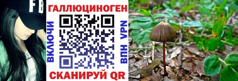 Галлюциногенные грибы мицелий  Купить  Нея 